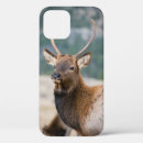 Search for elk iphone cases Bull