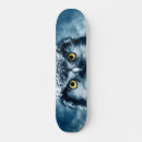 Search for owl skateboards Sports