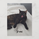 Search for snack postcards Photograph