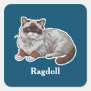 Search for ragdoll stickers Animal