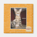 Search for idiot magnets I can has cheezburger