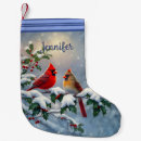 Recherche de cardinal rouge chaussette de noël Neige