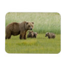 Search for sows magnets Ak