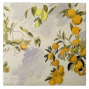 Search for orange tree tiles Fruit