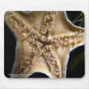 Search for underwater life mousepads Ocean