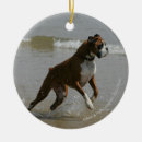 Search for dog run ornaments Bob and pam langrish