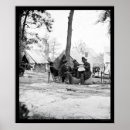 Recherche de brady posters America