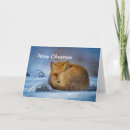 Search for curling cards Snow