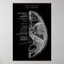 Recherche de groupe de bureau posters Décoration