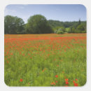 Recherche de champ agricole autocollants Culture