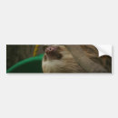 Search for sloth bumper stickers Wildlife