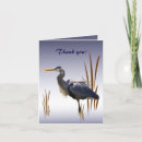 Search for waterbirds cards Heron