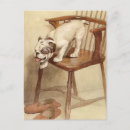 Recherche de pantoufle cartes postales Chien