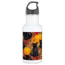 Search for cat water bottles Kitty