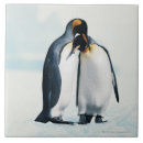Recherche de pingouin carreaux Dehors