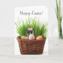 Search for pug easter cards Pet
