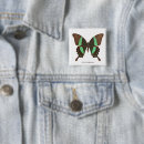 Search for swallowtail buttons Nature