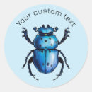 Search for beetle stickers Nature