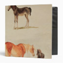 Recherche de poulain bureau fournitures Chevaux