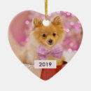Search for bowness ornaments Cute