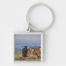 Search for cody keychains Wyoming