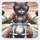 Search for motorbikes stickers Motorcycles