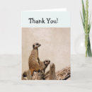 Recherche de suricate vœux cartes Animaux