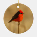 Search for vermilion Nature