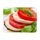 Search for appetizers magnets Background
