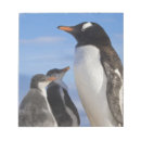 Recherche de habitat blocsnotes Famille