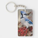 Search for blue jays keychains Cyanocitta cristata