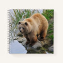 Recherche de courbe photographie Animaux mignons