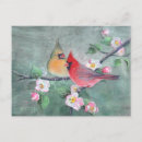 Search for apple postcards Bird