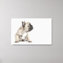 Recherche de race pure art Chien