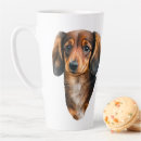 Recherche de doxie tasses Chien