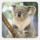 Search for brisbane stickers Queensland