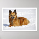 Search for german shepherd art Dog lovers
