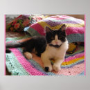 Recherche de tapis rouge posters Pour enfants