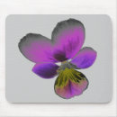 Search for pansies mousepads Purple