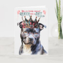 Search for grey dog cards Dogs