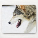 Search for timber wolf electronics Grey