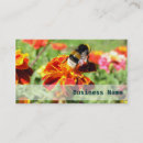 Recherche de bourdon cartes visite Abeille