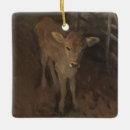 Search for farm ornaments Baby