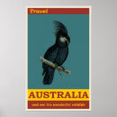 Search for black cockatoo posters Bird