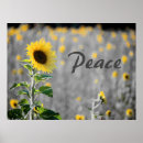 Search for peace posters Black and white