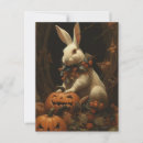 Recherche de lapin effrayant cartes postales Citrouille