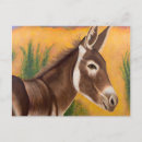 Recherche de burro Animal