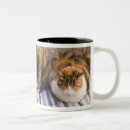 Search for vernazza mugs Liguria