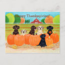 Search for funny dog thanksgiving cards Cute