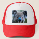 Recherche de koala casquettes Porter